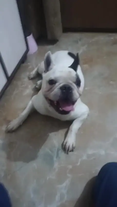 Rehabilitation on video