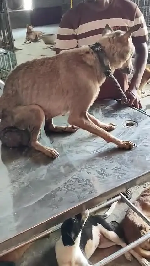 Treatment & Hospital in action