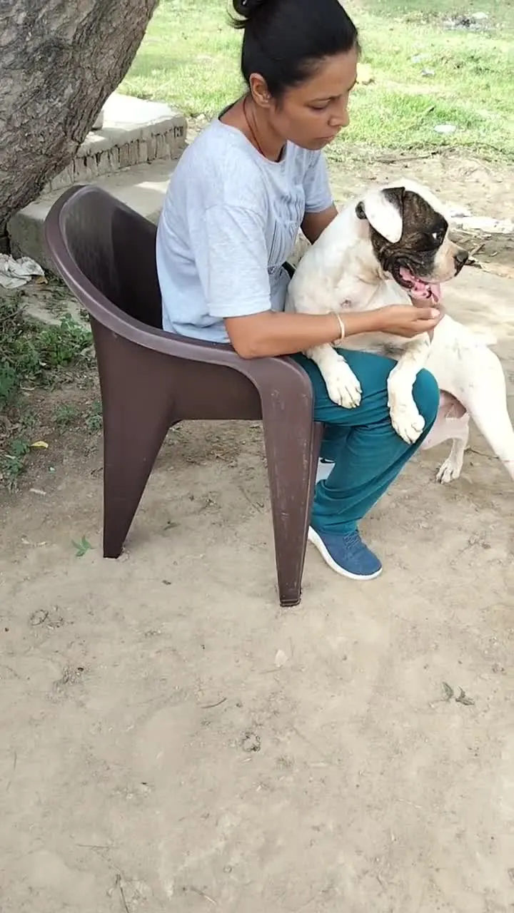 A volunteer cuddling a white dog on her lap