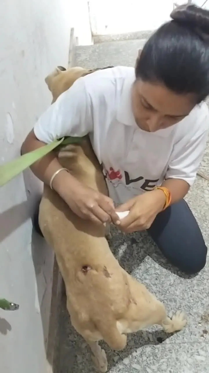 A volunteer hugging a rescued dog