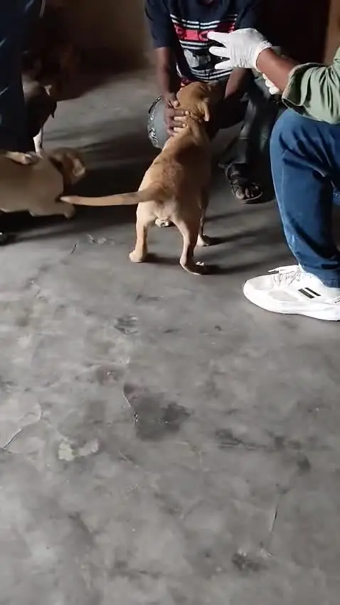 Meeting the volunteers