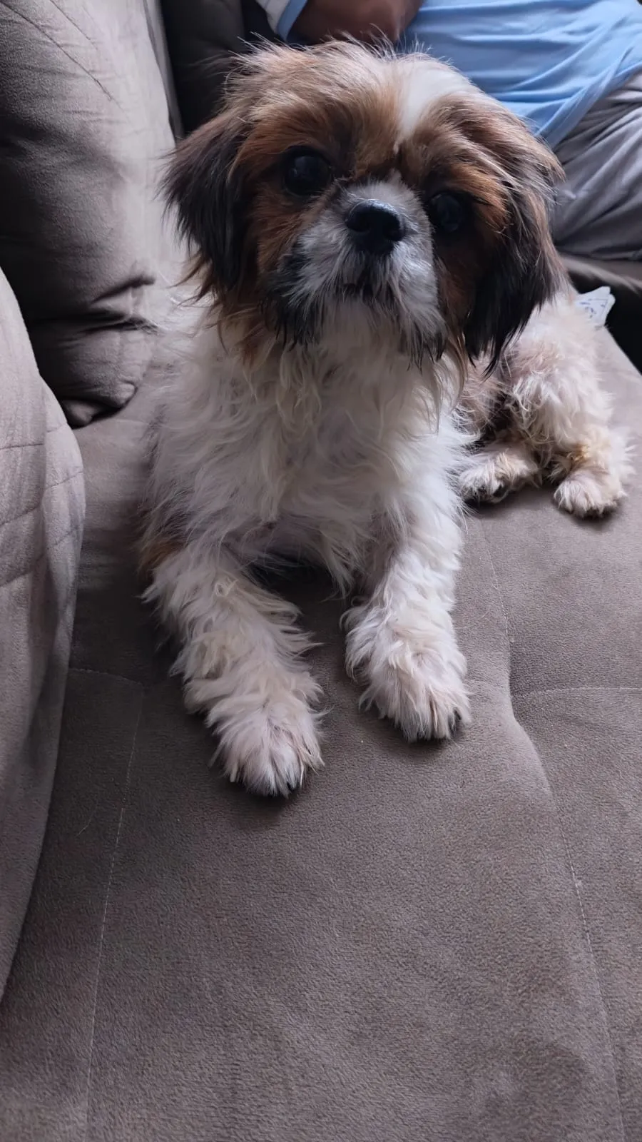 Coco, another photo