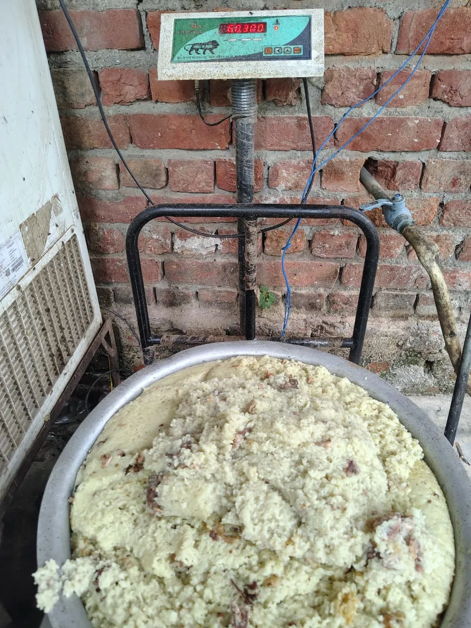 A large vessel of cooked rice and protein for the daily dog feeding at VoV