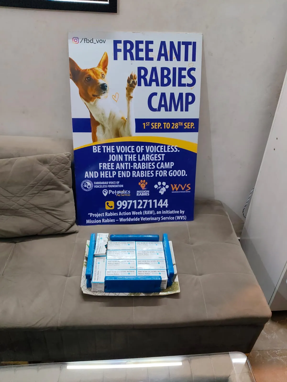 Free anti-rabies vaccination camp poster with vaccines at the VoV shelter, Faridabad
