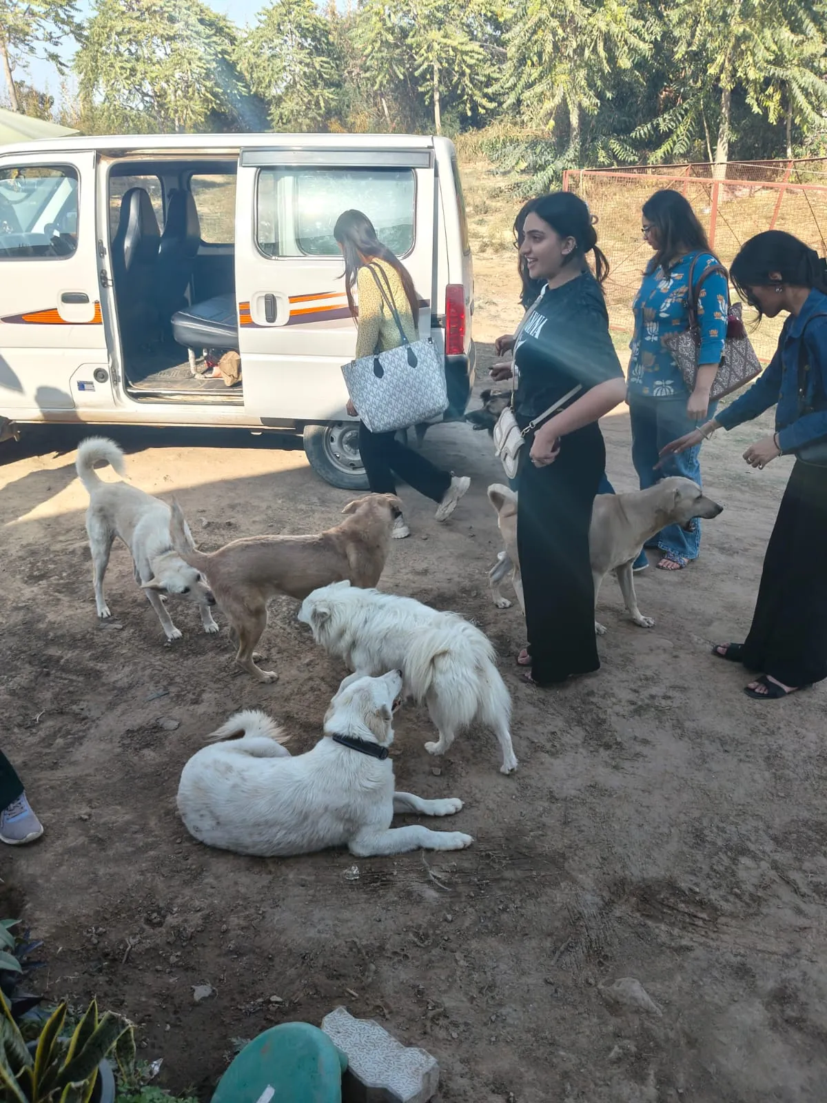 The VoV rescue van and team with rescued dogs