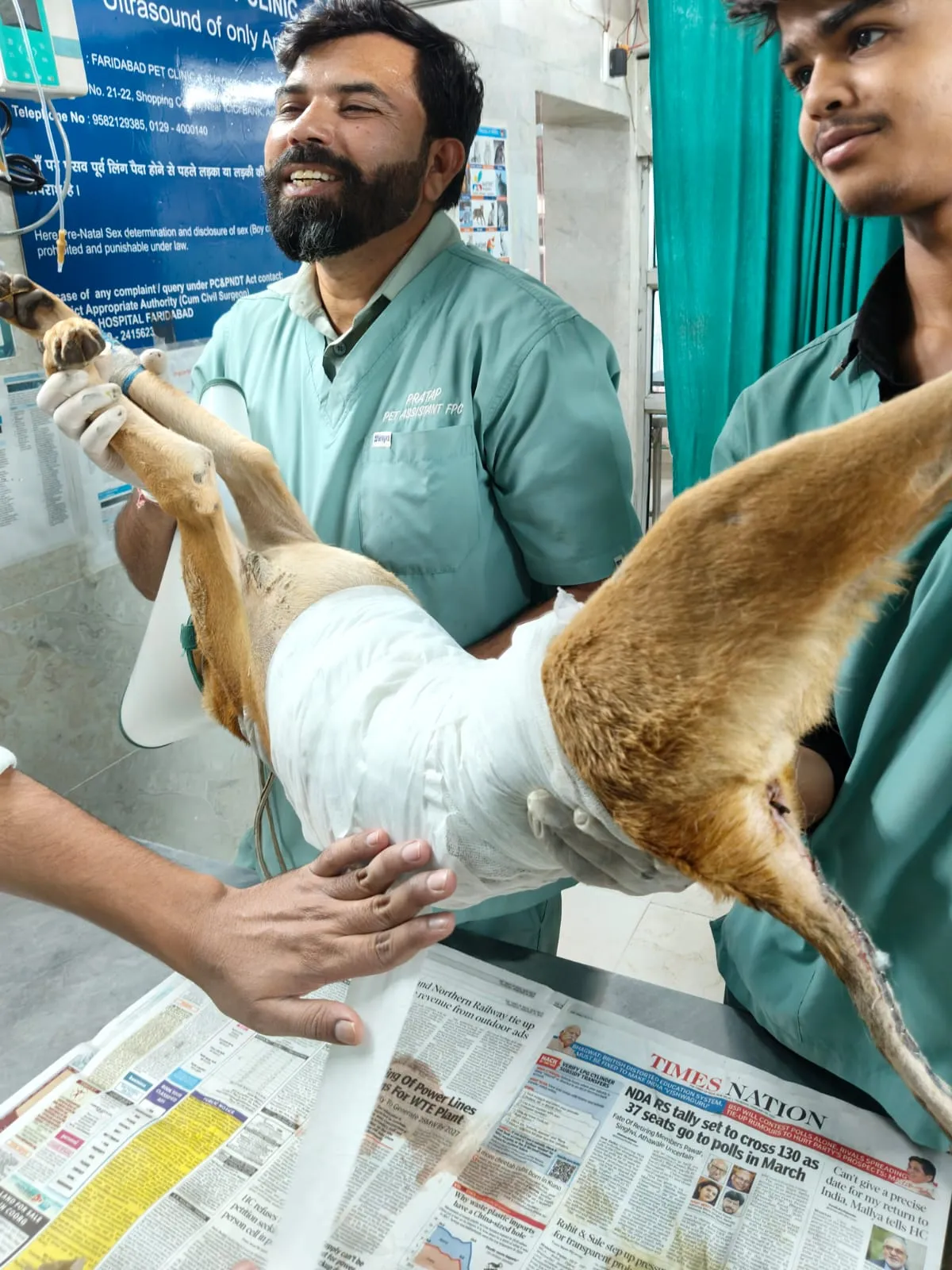 VoV veterinary team holding a rescued dog after treatment